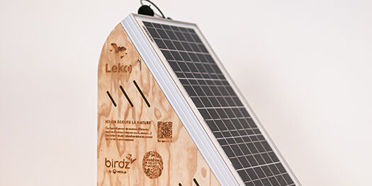 Diaporama expertise design